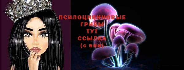 гидропоника Ельня