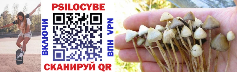 Псилоцибиновые грибы Cubensis  сколько стоит  mega ссылка  Заволжье 