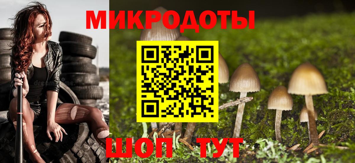 Псилоцибиновые грибы прущие грибы Заволжье