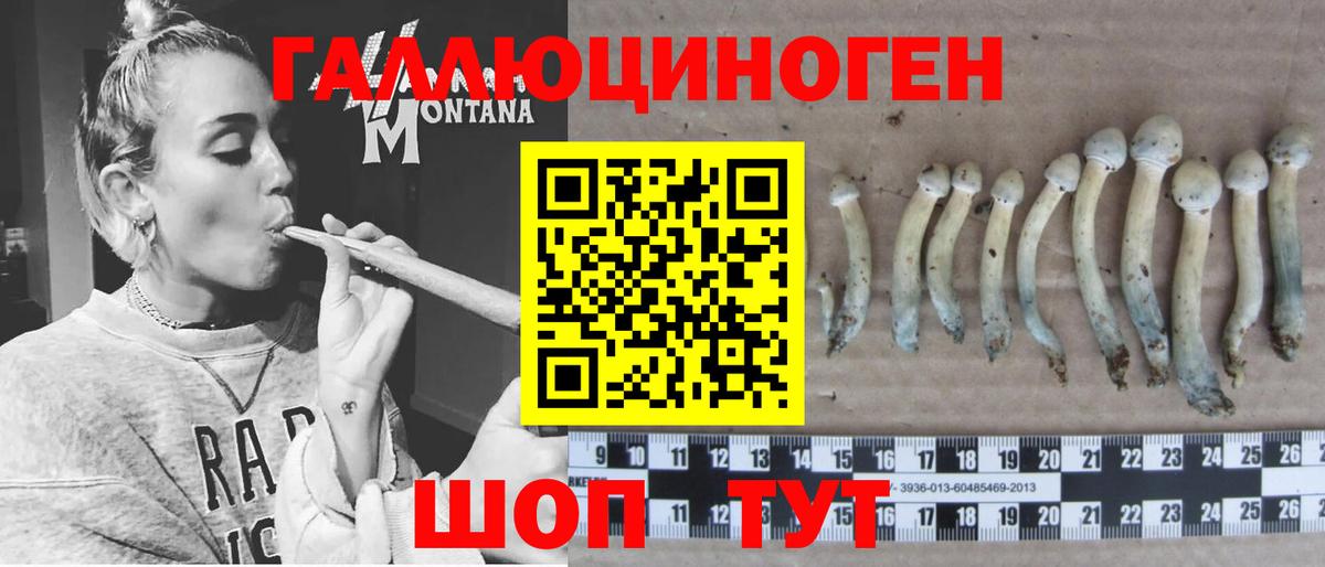 Псилоцибиновые грибы Magic Shrooms  Вход с VPN  Заволжье 