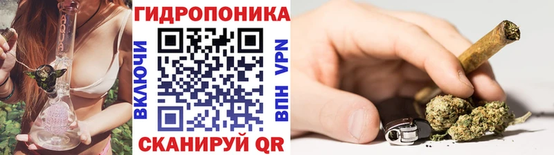 Шишки марихуана THC 21%  Заволжье 